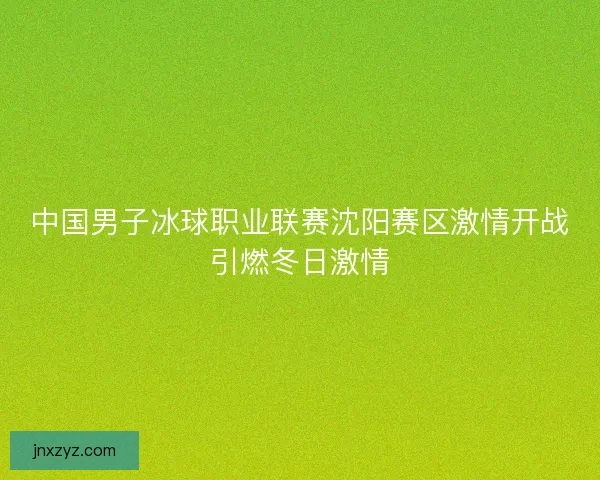 中国男子冰球职业联赛沈阳赛区激情开战引燃冬日激情